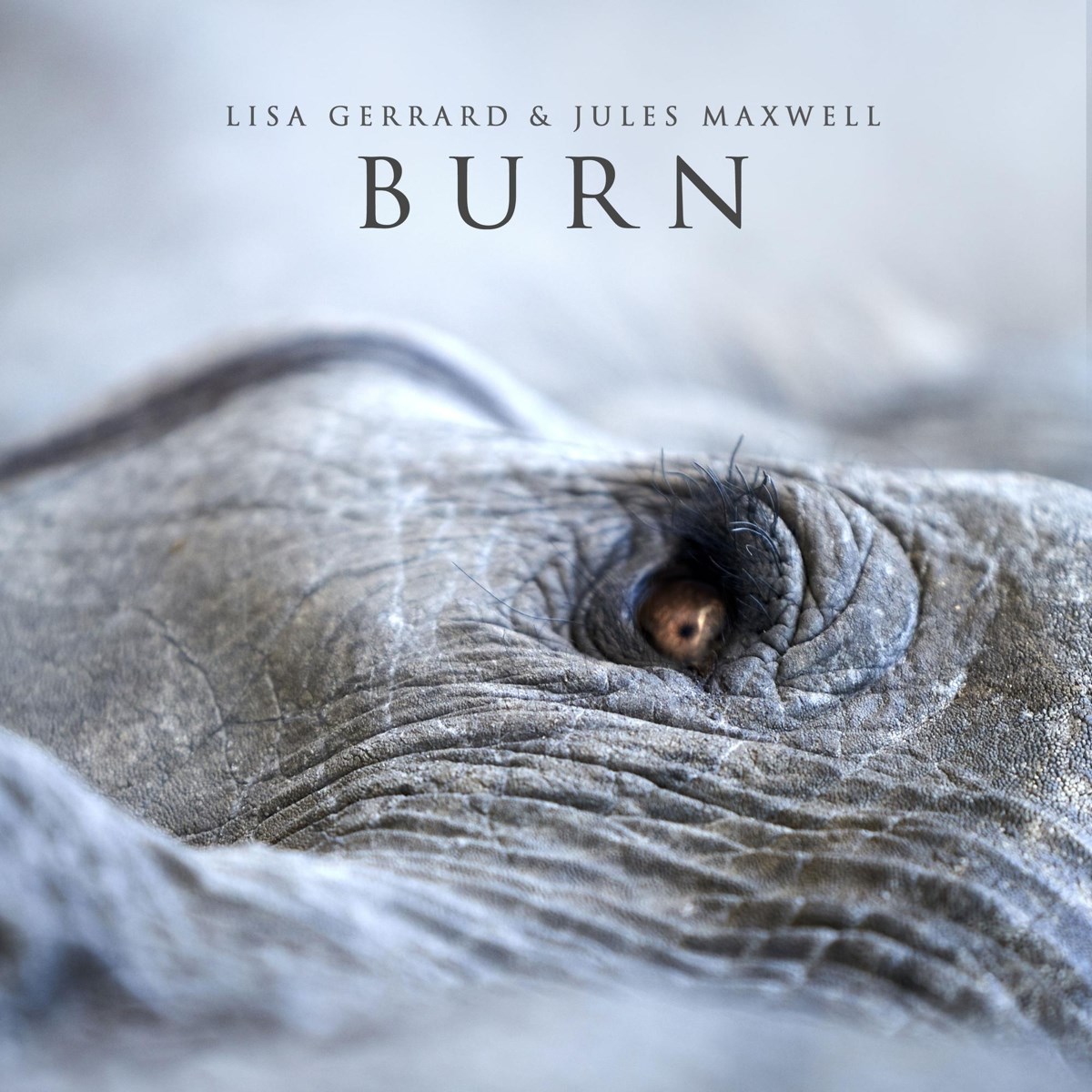 Afbeelding van Lisa Gerrard & Jules Maxwell - Burn