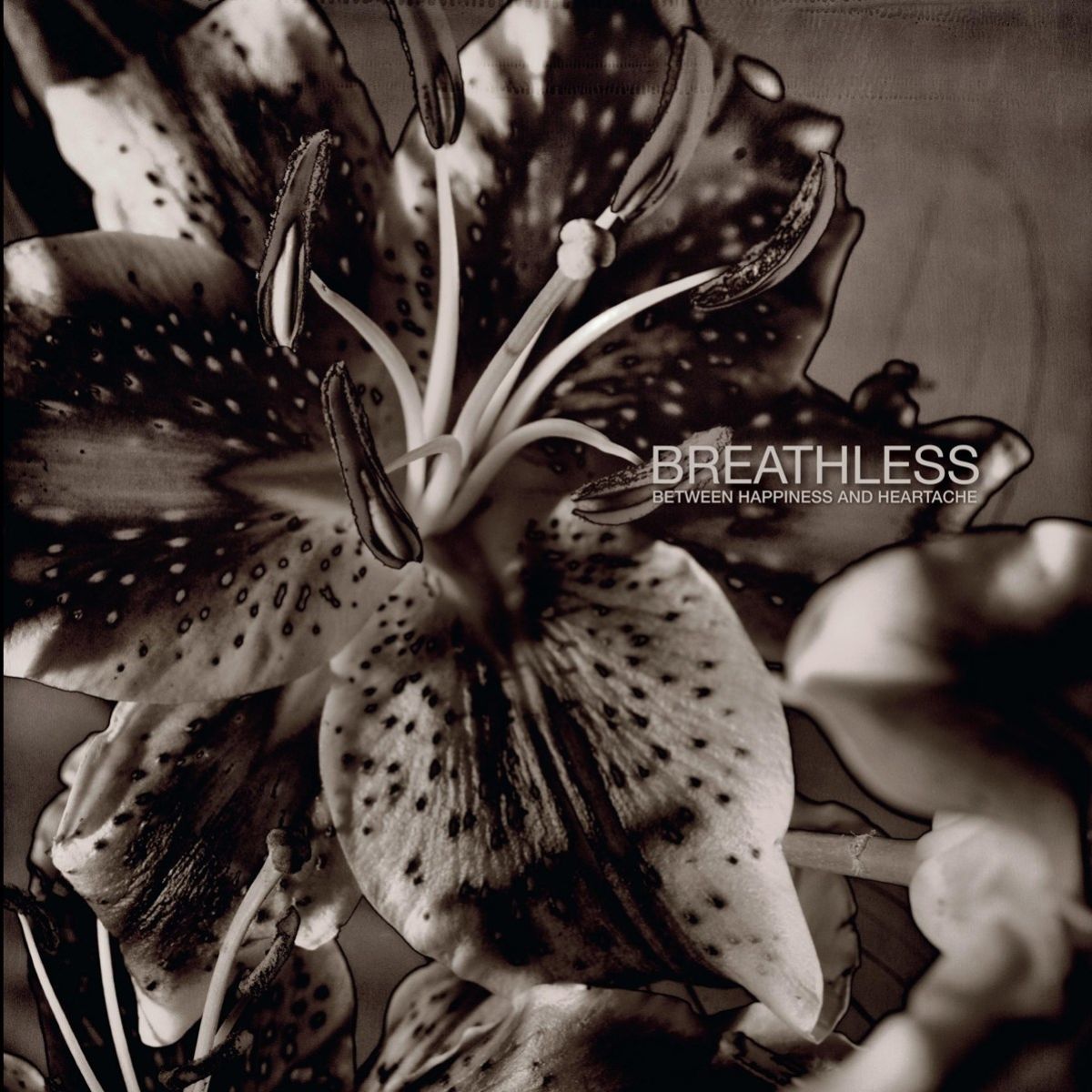 Afbeelding van Breathless - Between Happiness And Heartache