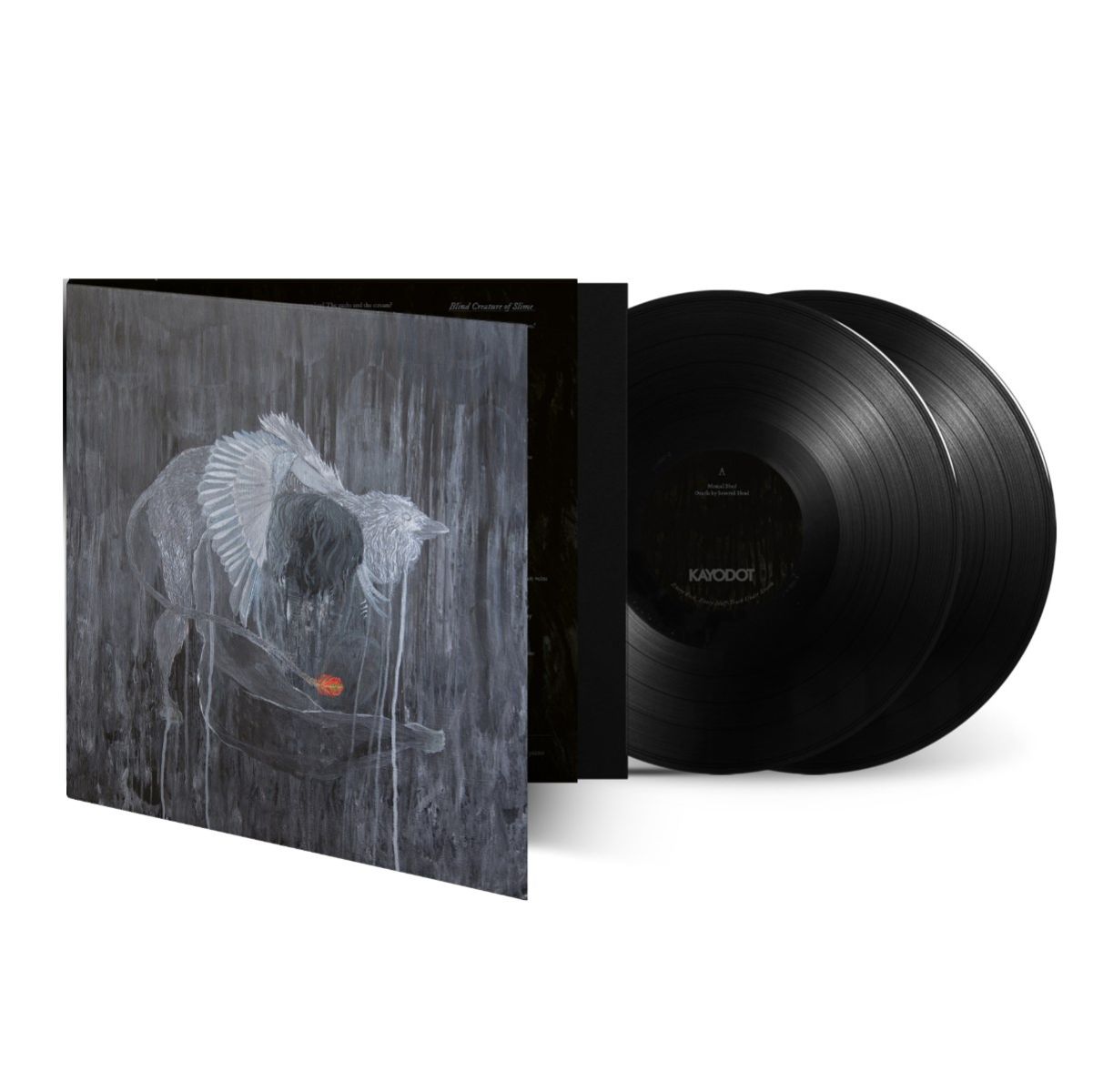 Afbeelding van Kayo Dot - Every Rock, Every Half-Truth Under Reason