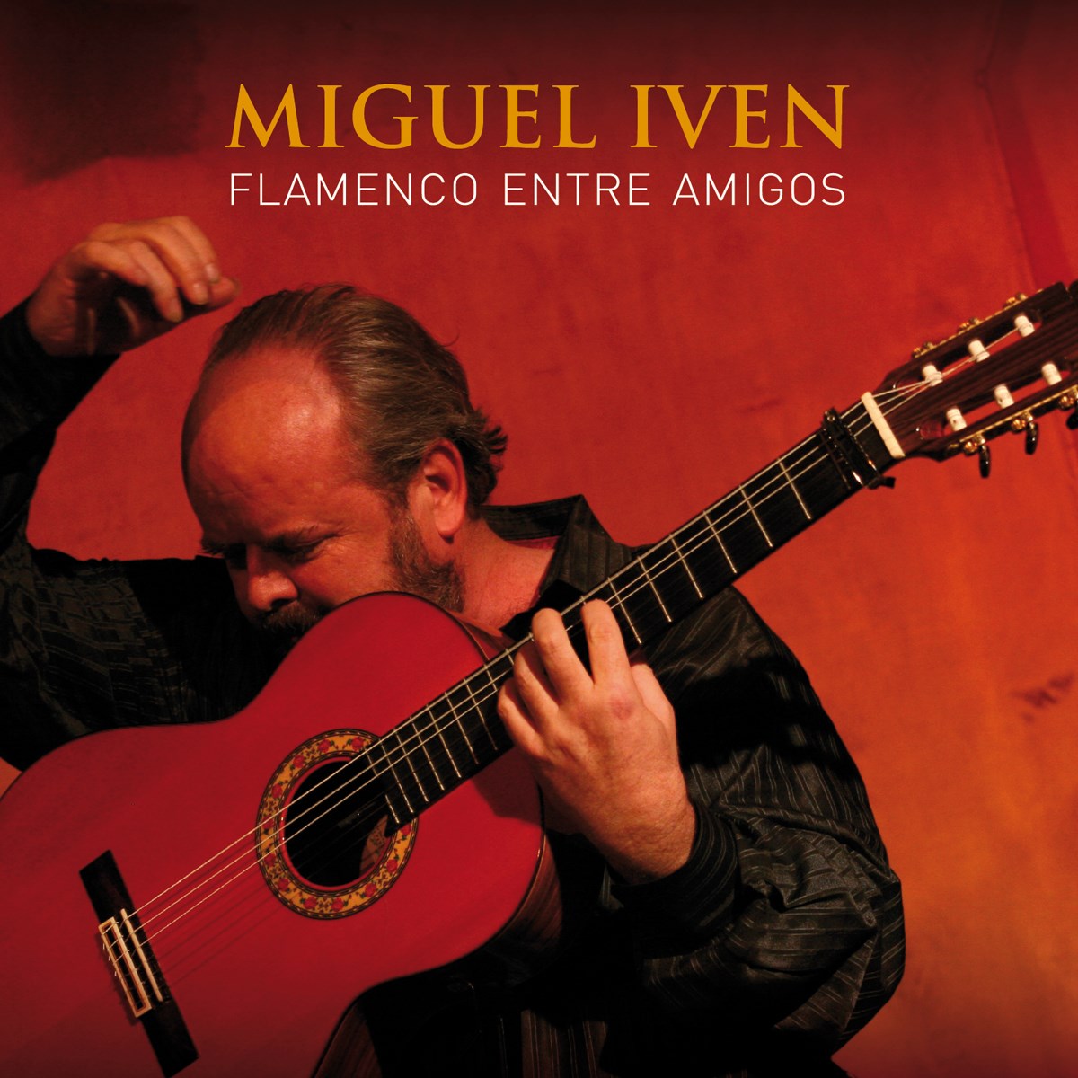 Afbeelding van Flamenco Entre Amigos