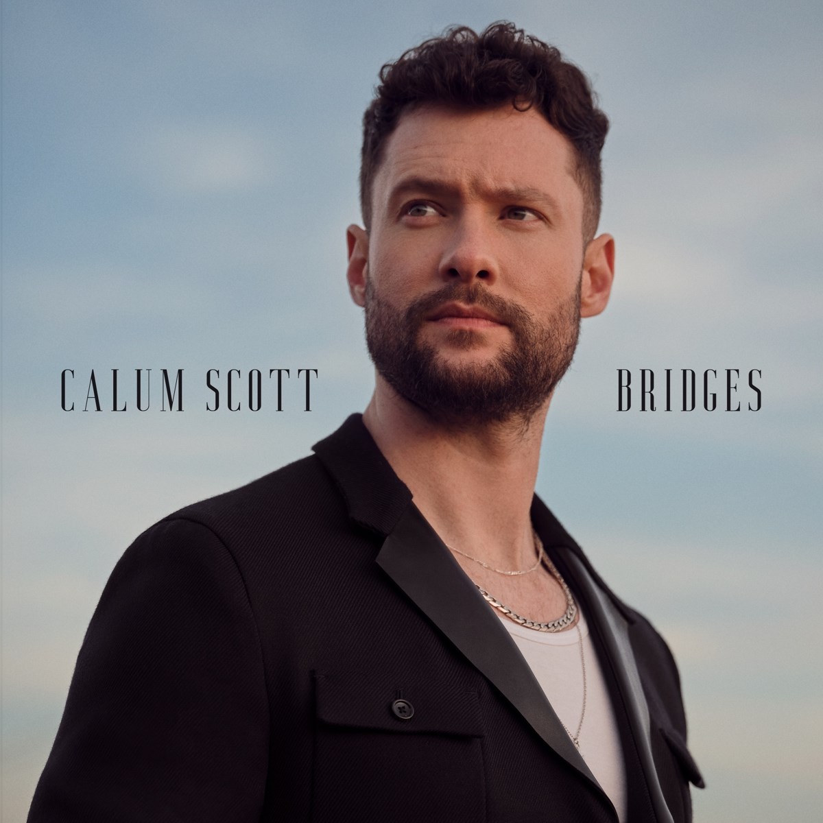 Afbeelding van Calum Scott - Bridges