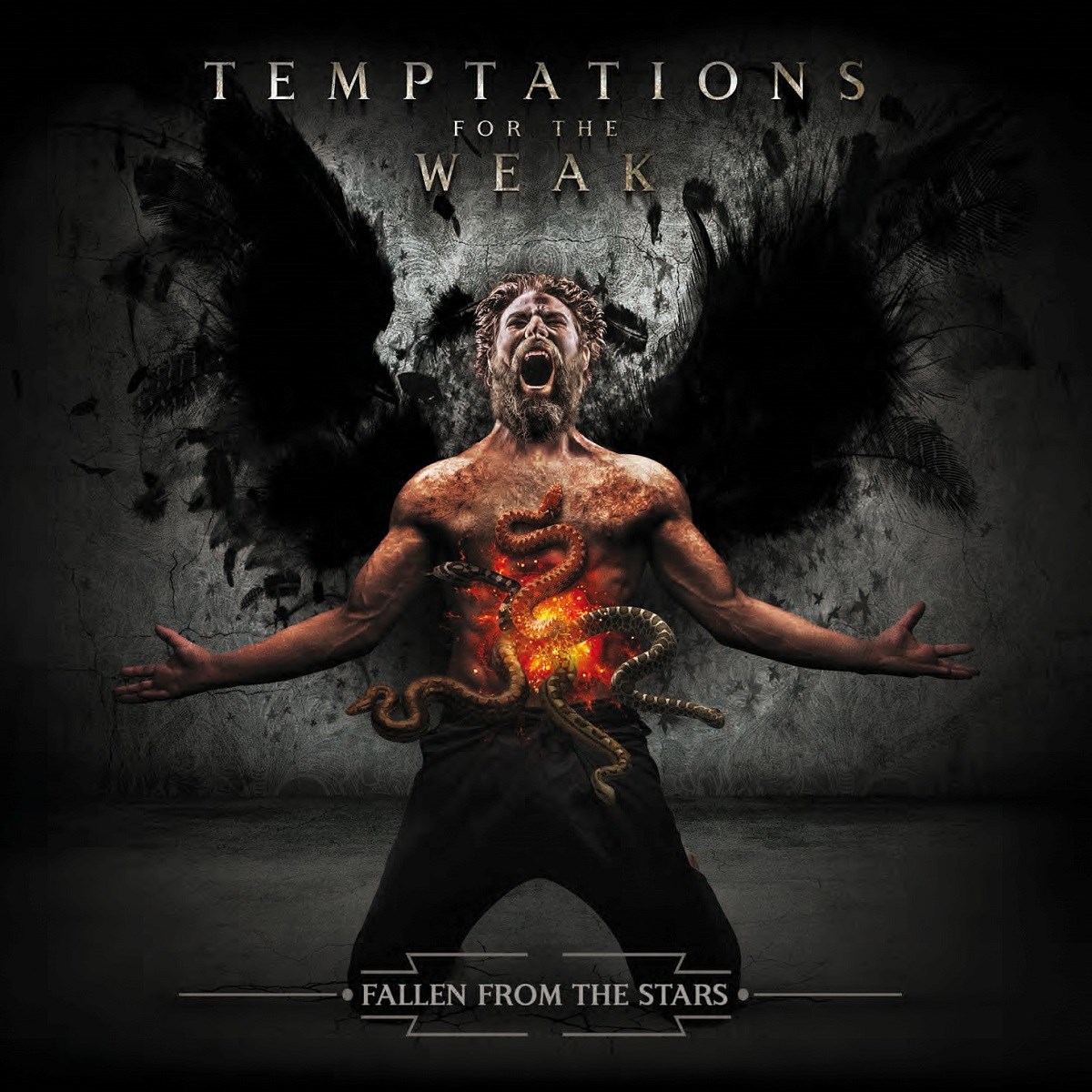Afbeelding van Temptations For The Weak - Fallen From The Stars