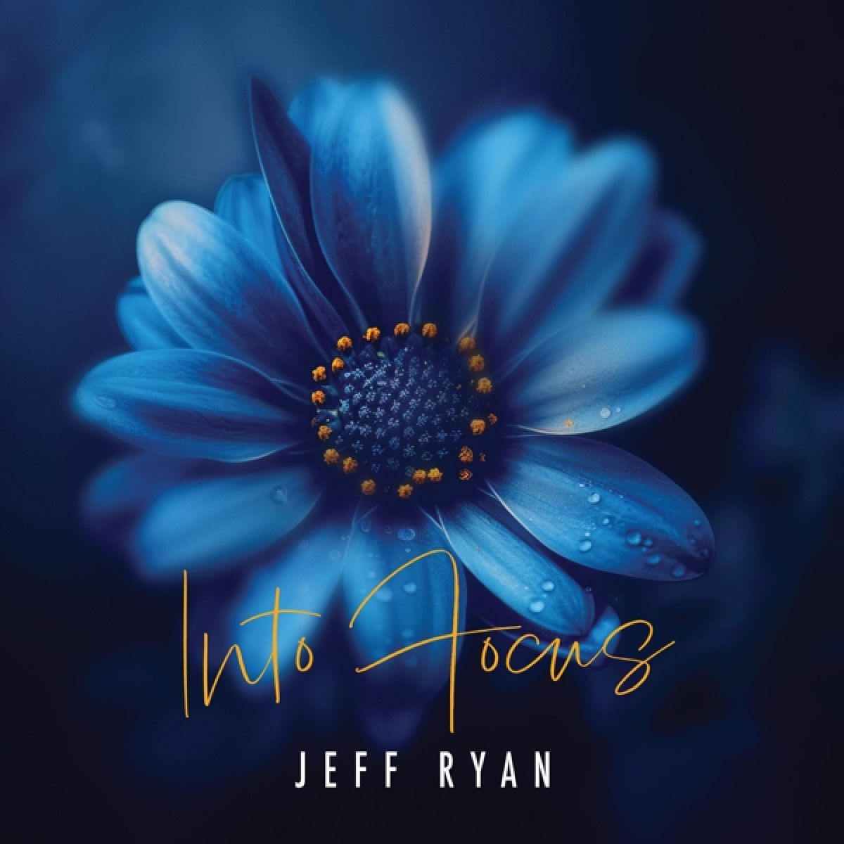 Afbeelding van Jeff Ryan - Into Focus