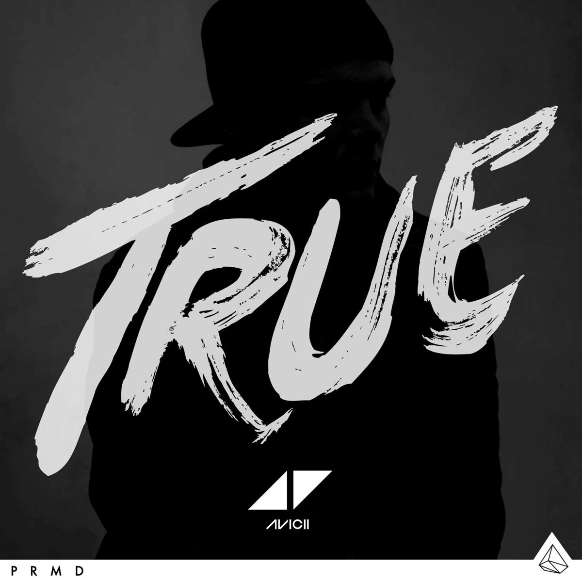 Afbeelding van Avicii - True