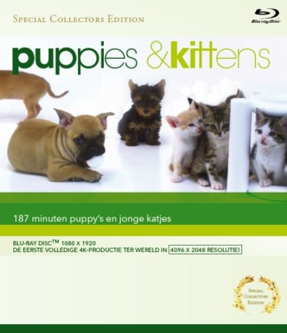 Afbeelding van Puppies & Kittens