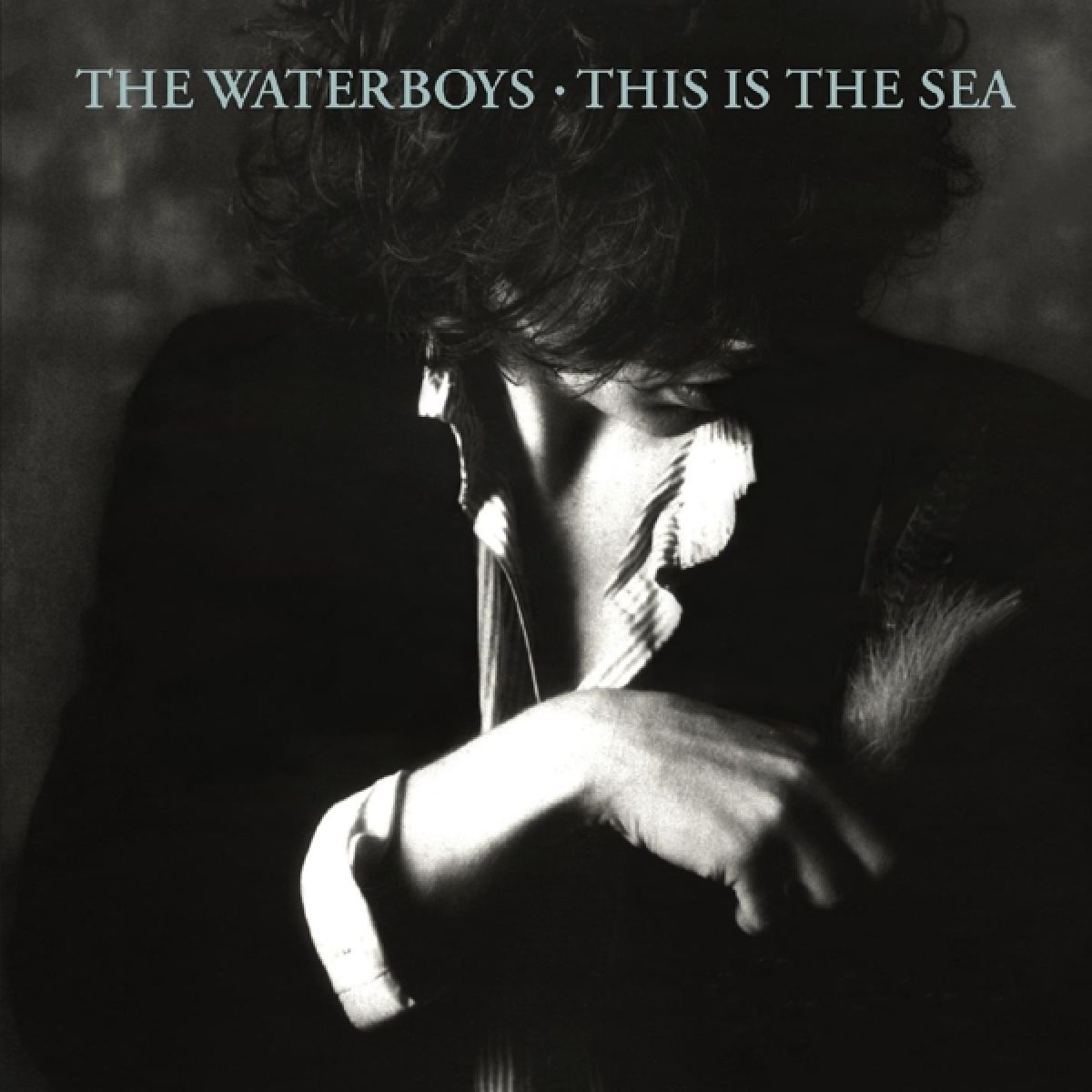 Afbeelding van The Waterboys - This Is The Sea