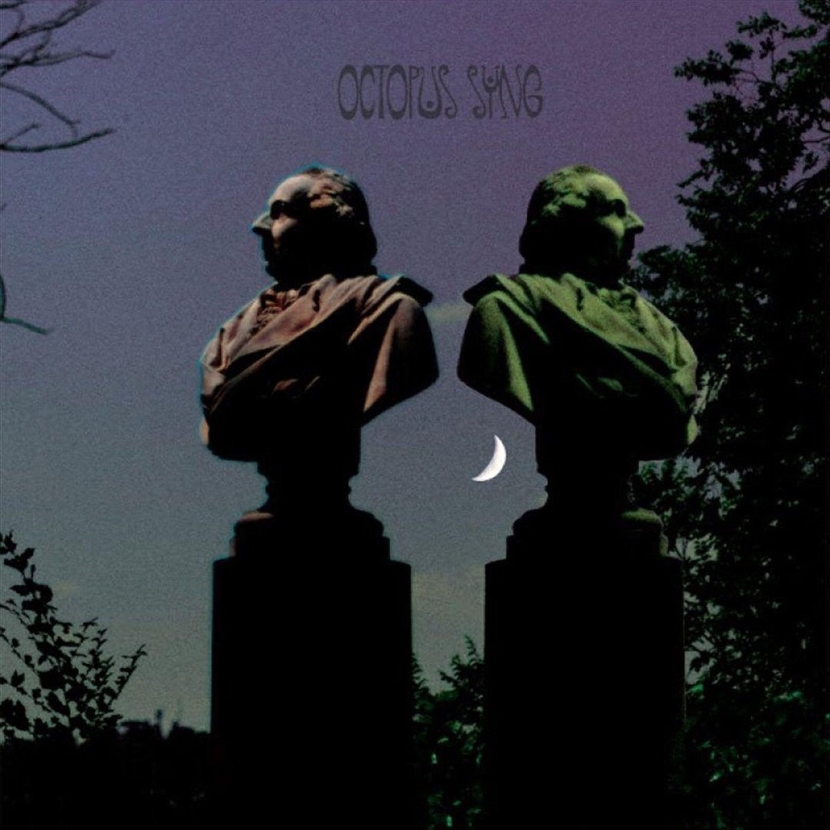 Afbeelding van Octopus Syng - Hollow Ghost/Rochelle Salt