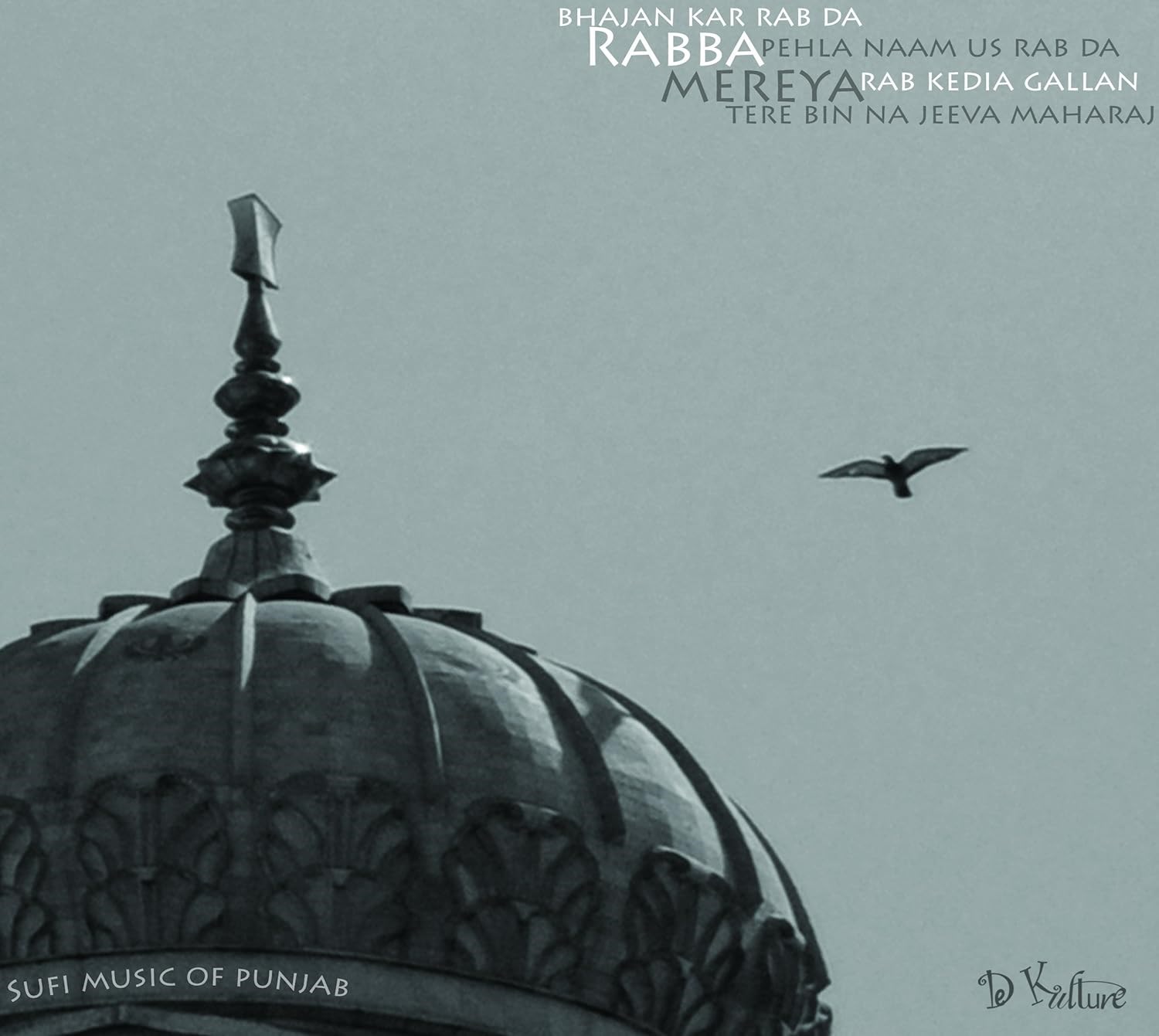 Afbeelding van Various Artists - Rabba Mereya: Sufi Music Of Punjab