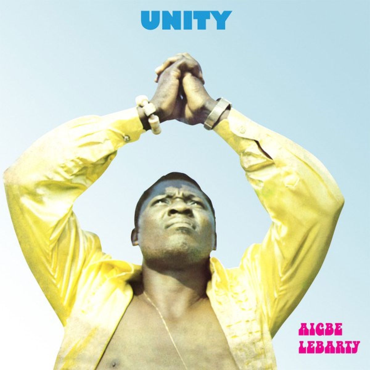 Afbeelding van Aigbe Lebarty - Unity