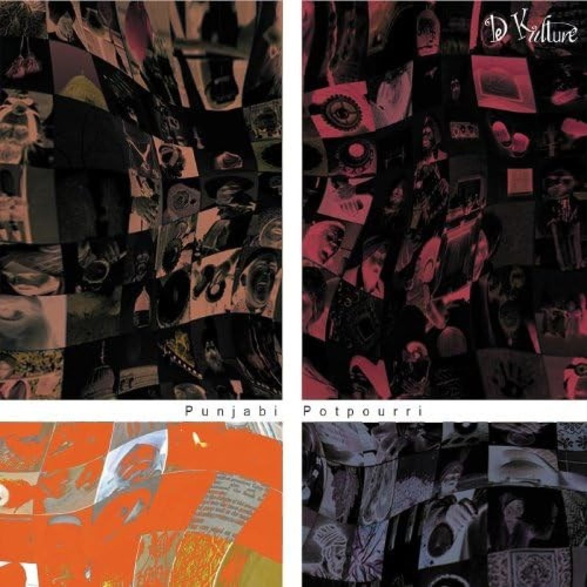 Various Artists - Punjabi Potpourri