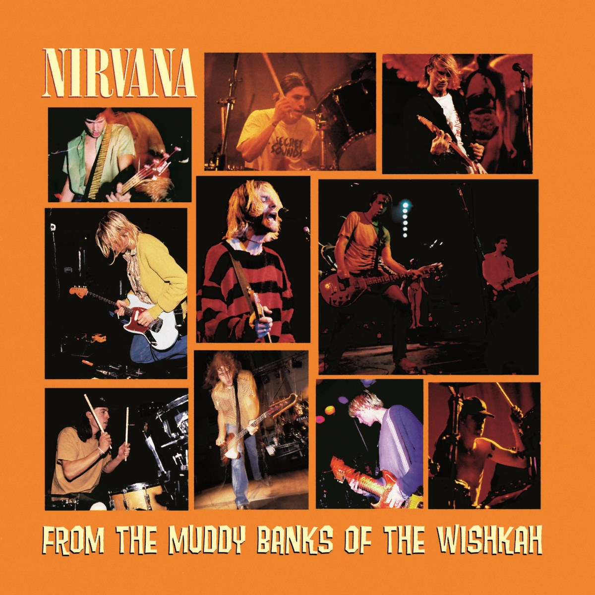 Afbeelding van Nirvana - From The Muddy Banks Of The Wishkah