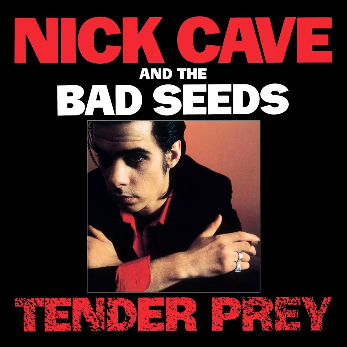 Afbeelding van Nick Cave & The Bad Seeds - Tender Prey