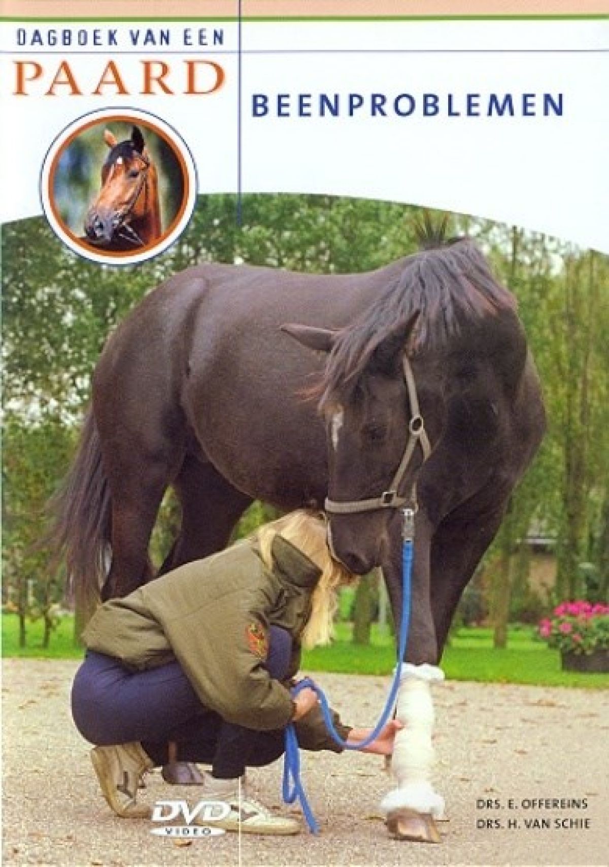 Afbeelding van Dagboek Van Een Paard - Beenproblemen