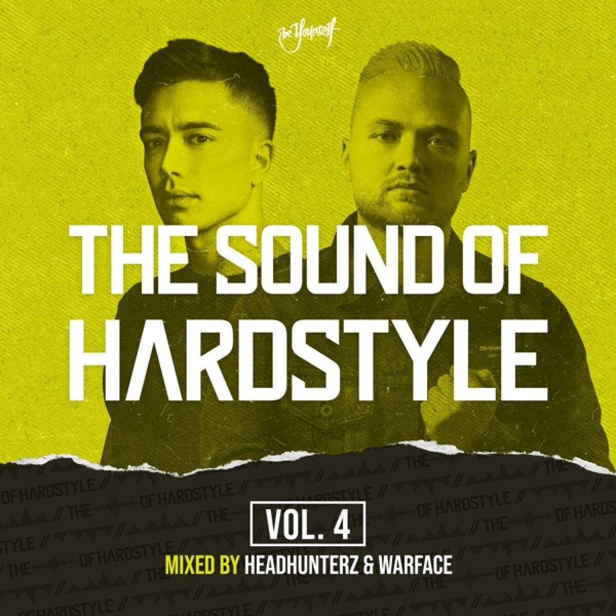 Afbeelding van Various Artists - The Sound Of Hardstyle Vol 4. Mixed