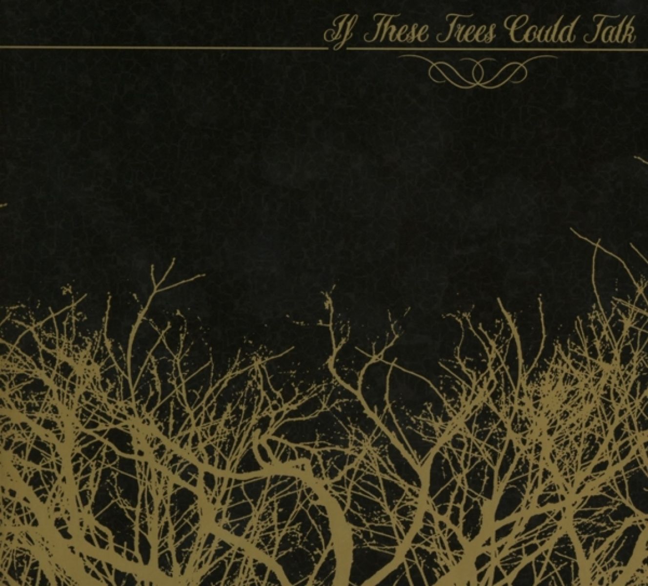 If These Trees Could Talk - If These Trees Could Talk