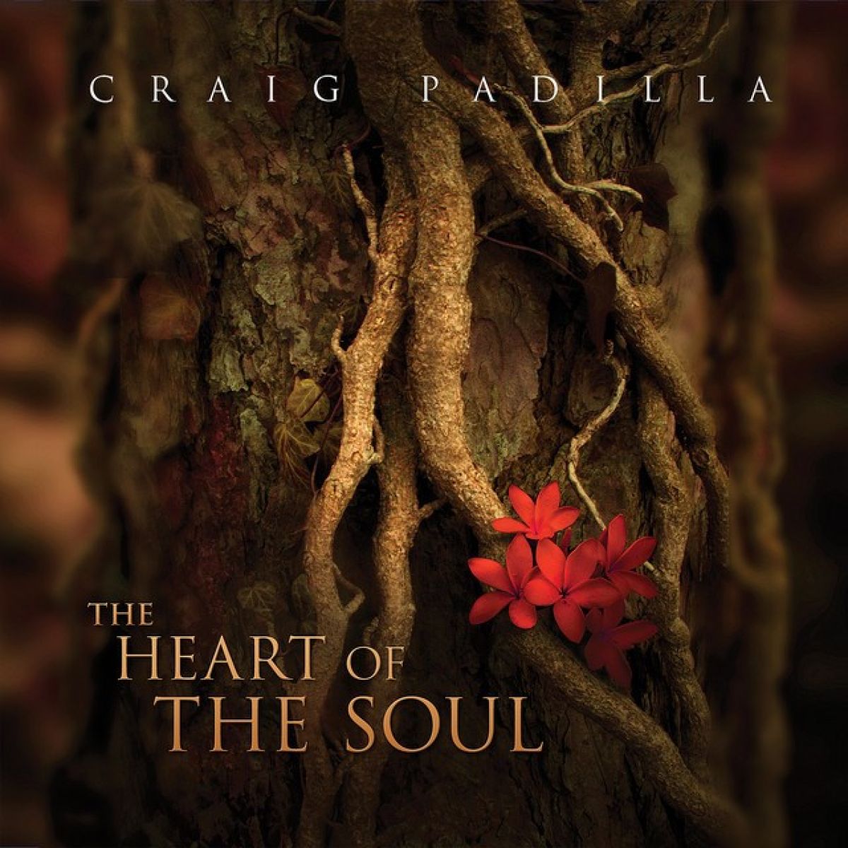 Afbeelding van Craig Padilla - The Heart Of The Soul