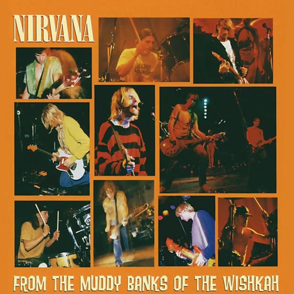 Afbeelding van Nirvana - From The Muddy Banks Of The Wishkah