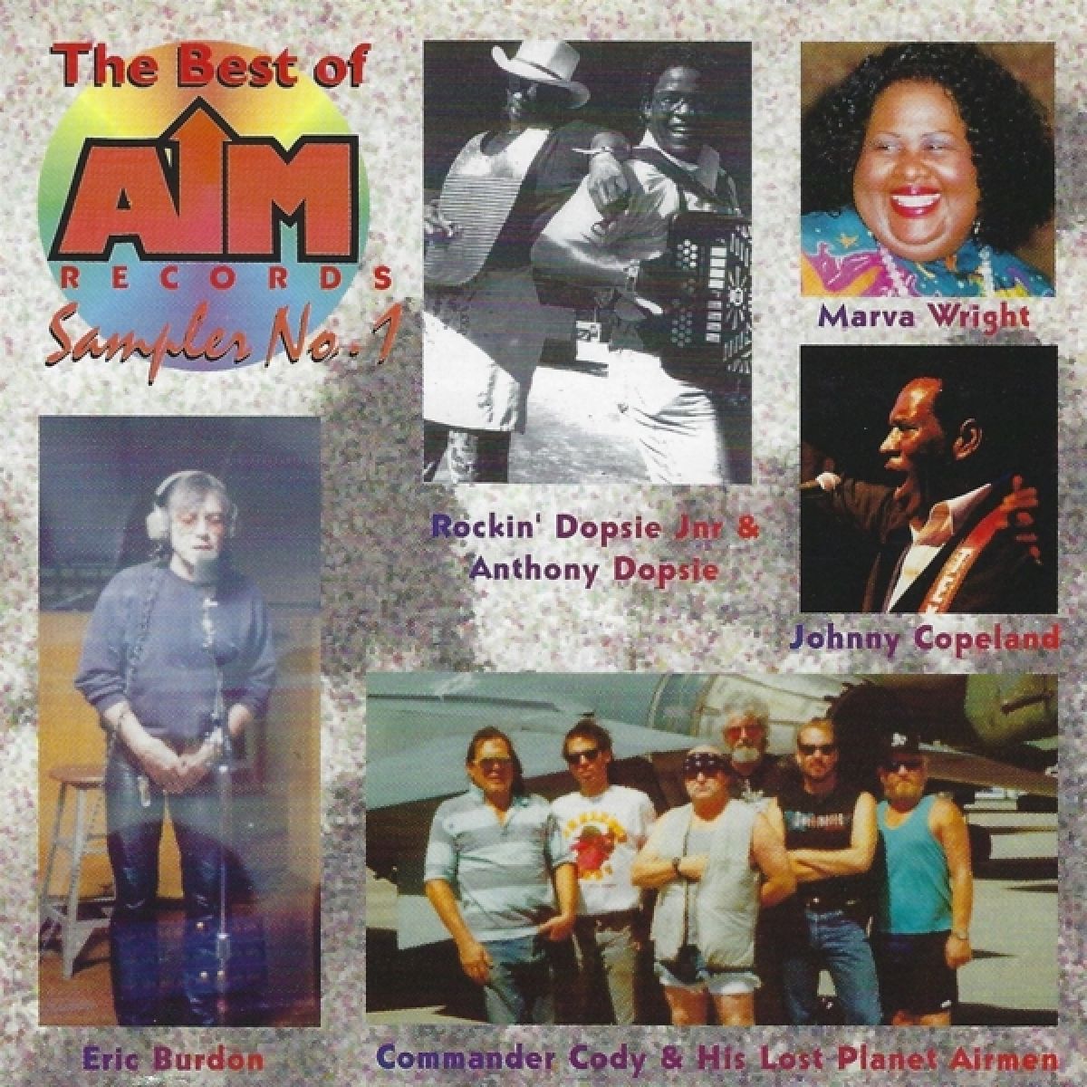 Afbeelding van Various Artists - The Best Of AIM Records Sampler No. 1