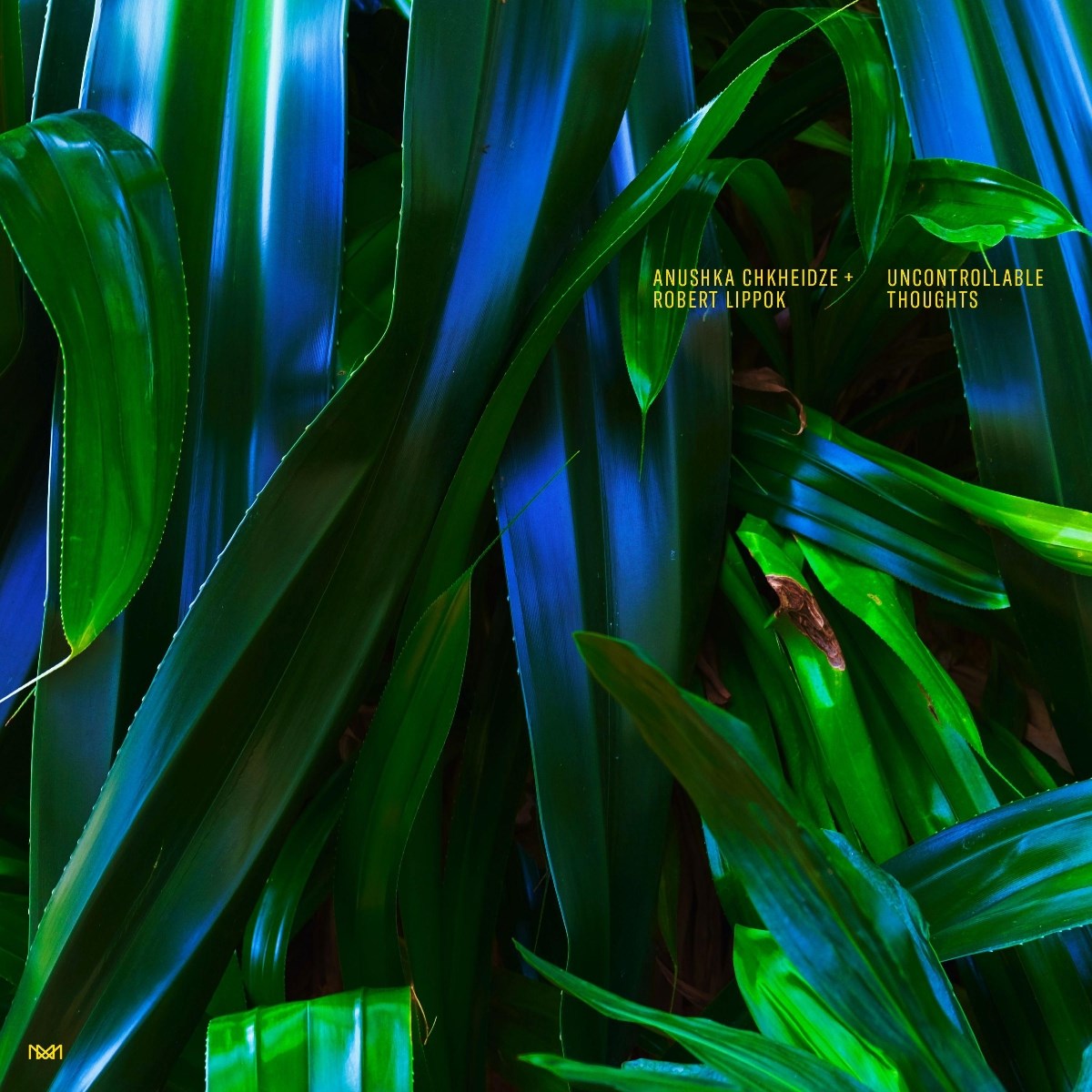 Afbeelding van Anushka Chkheidze & Robert Lippok - Uncontrollable Thoughts