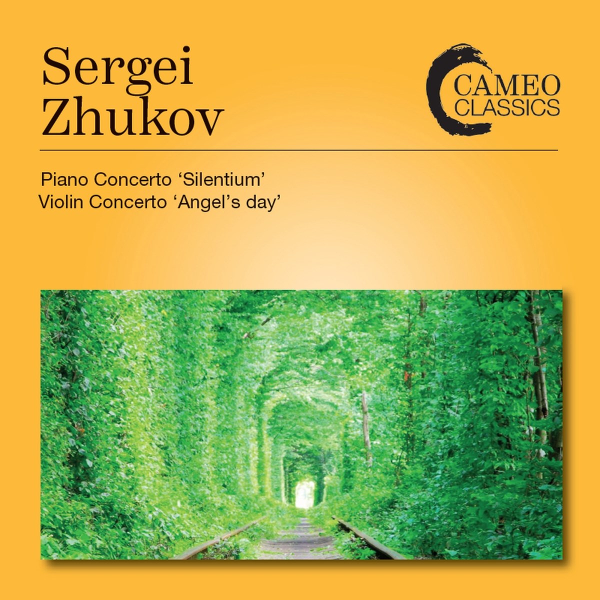 Eleonora Bekova, Karelia State Symphony Orchestra, Marius Stravinsky - Zhukoff: Piano Concerto 'Silentium' | Violin Concerto 'Angel's Day'