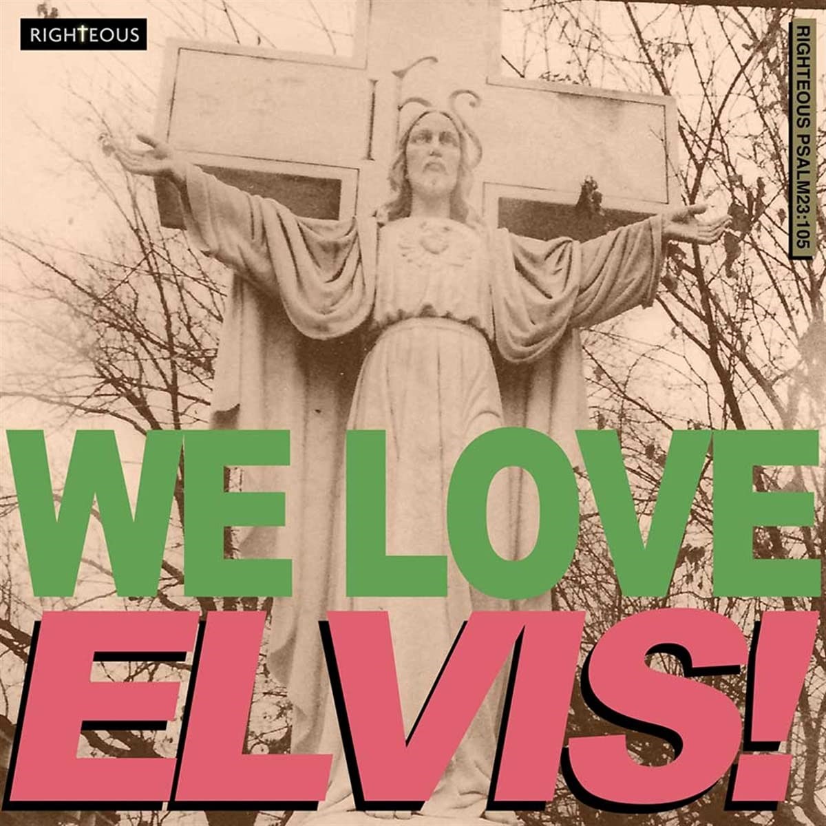 Afbeelding van Various Artists - We Love Elvis!