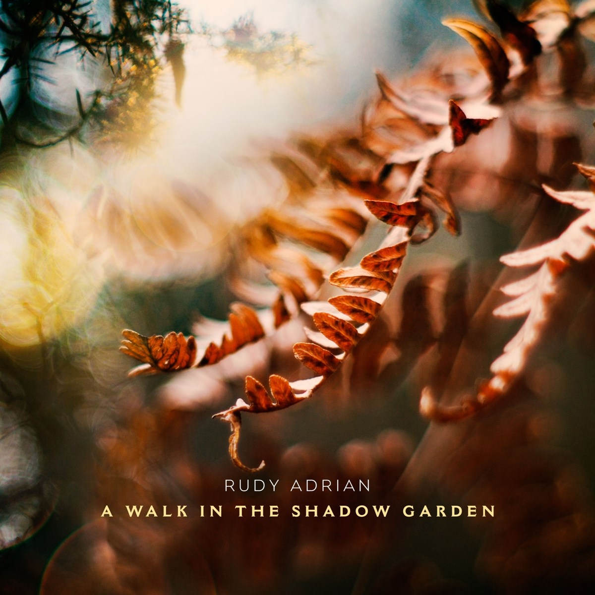 Afbeelding van Rudy Adrian - A Walk In The Shadow Garden