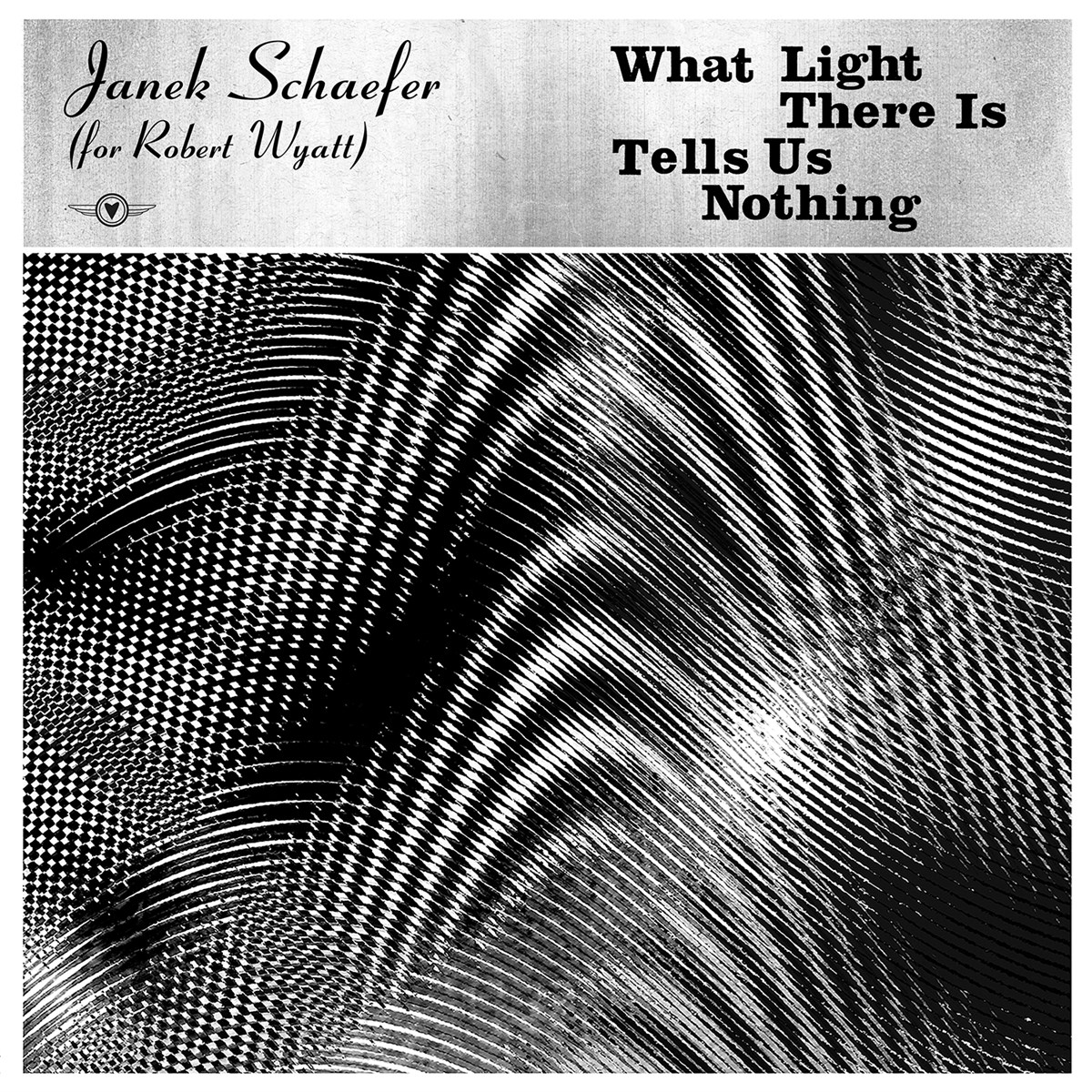 Afbeelding van Janek Schaefer - What Light There Is Tells Us Nothing