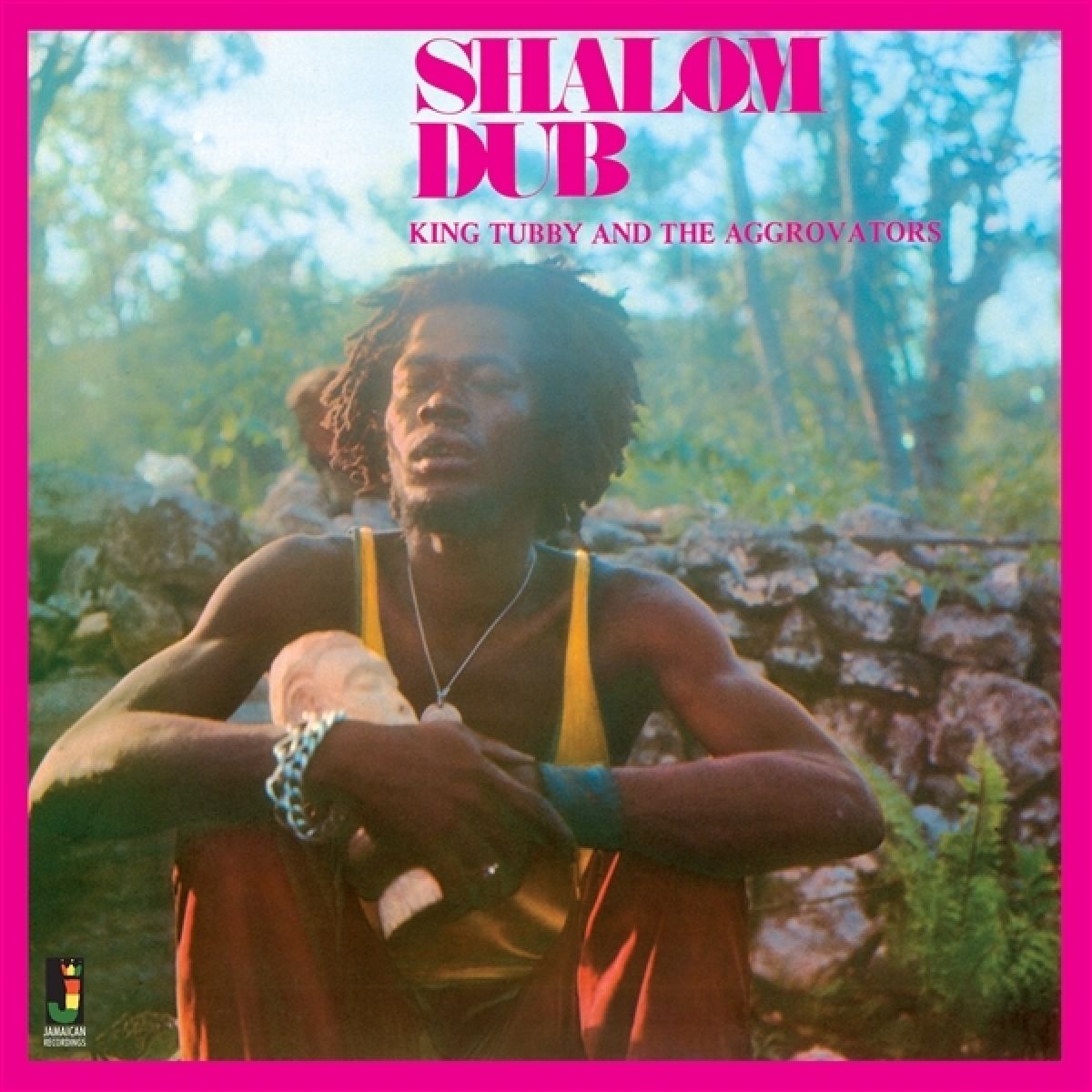 Afbeelding van King Tubby & The Aggrovators - Shalom Dub