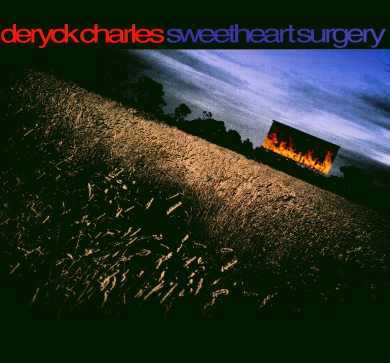 Afbeelding van Sweetheartsurgery
