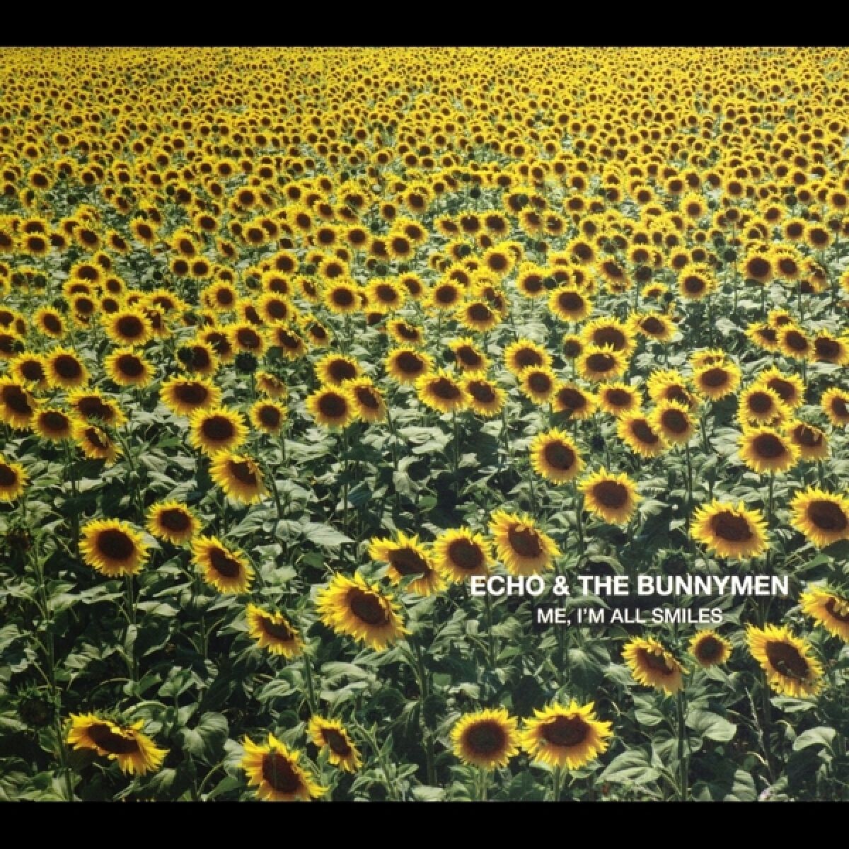 Afbeelding van Echo & The Bunnymen - Me, I'm All Smiles