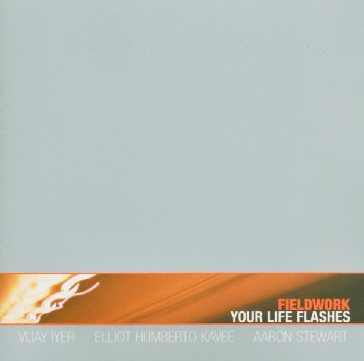 Afbeelding van Fieldwork - Your Life Flashes