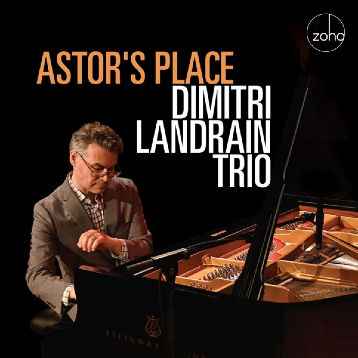 Afbeelding van Dimitri Landrain Trio - Astor's Place
