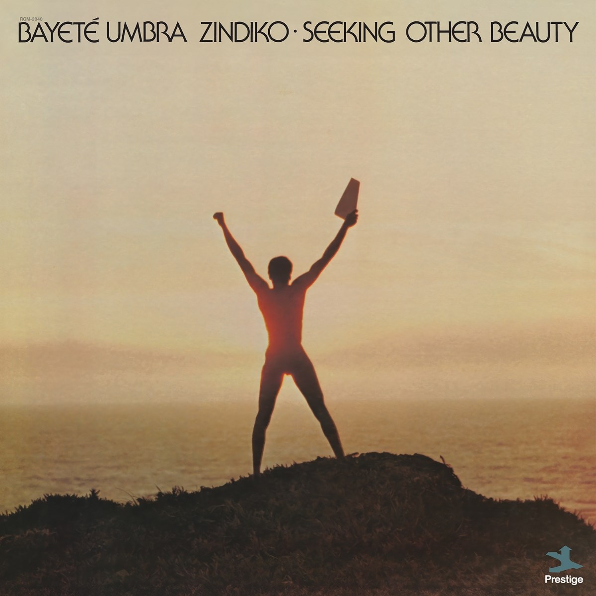 Afbeelding van Bayete Umbra Zindiko - Seeking Other Beauty