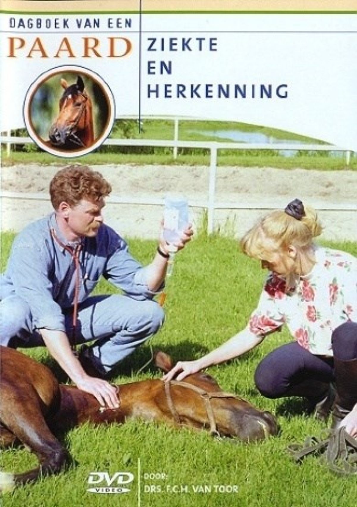 Dagboek Van Een Paard - Ziekte & Herkenning