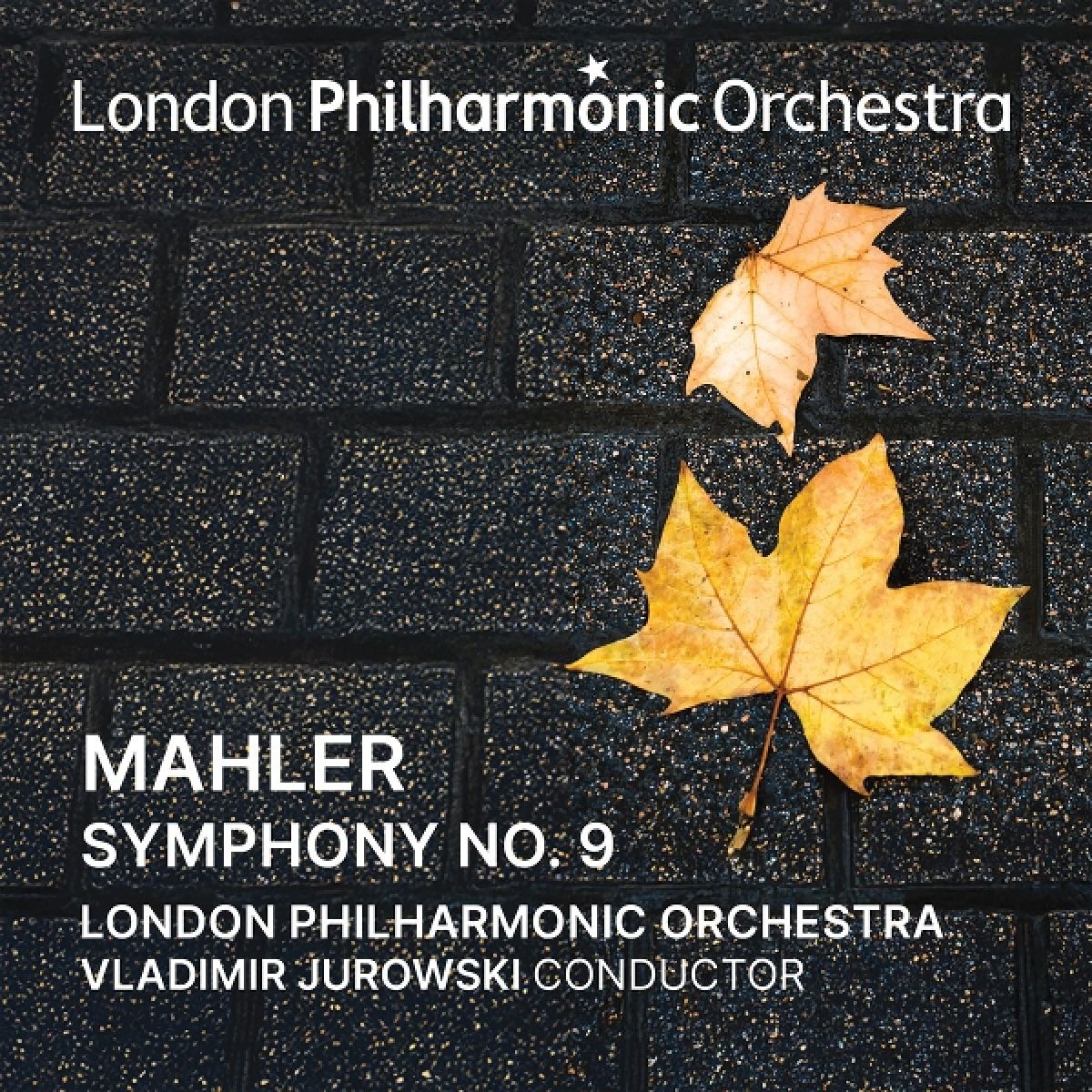 Afbeelding van Vladimir Jurowski Conducts Mahler Symphony No. 9