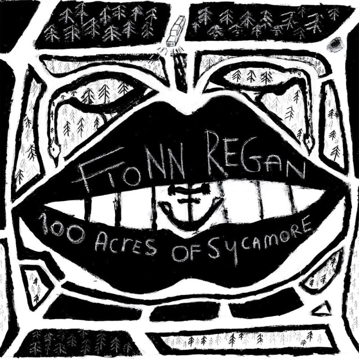 Afbeelding van Fionn Regan - 100 Acres Of Sycamore
