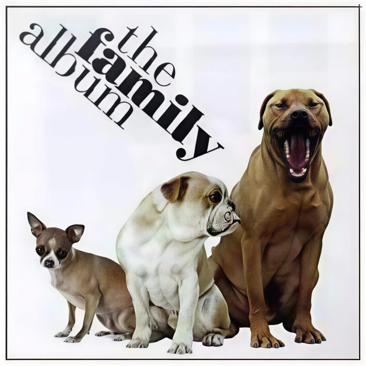 Afbeelding van Various Artists - The Family Album