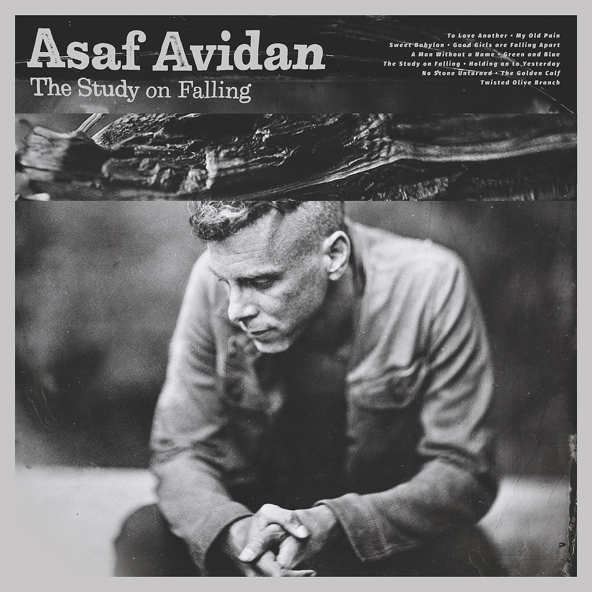 Afbeelding van Asaf Avidan - The Study On Falling