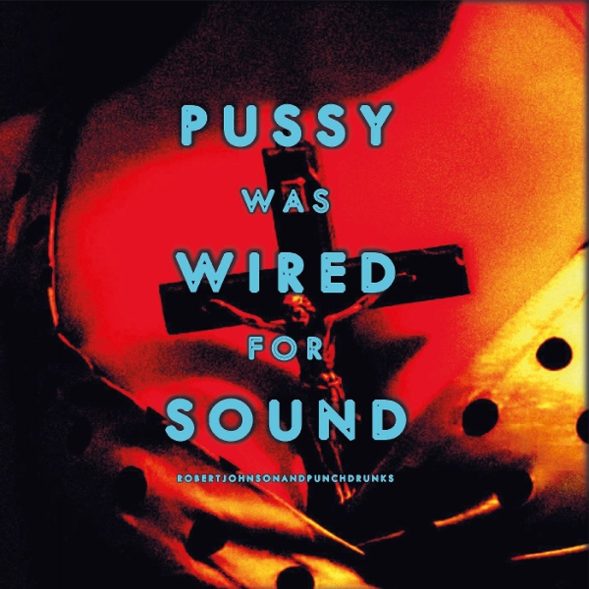 Afbeelding van Robert Johnson And Punchdrunks - Pussy Was Wired For Sound