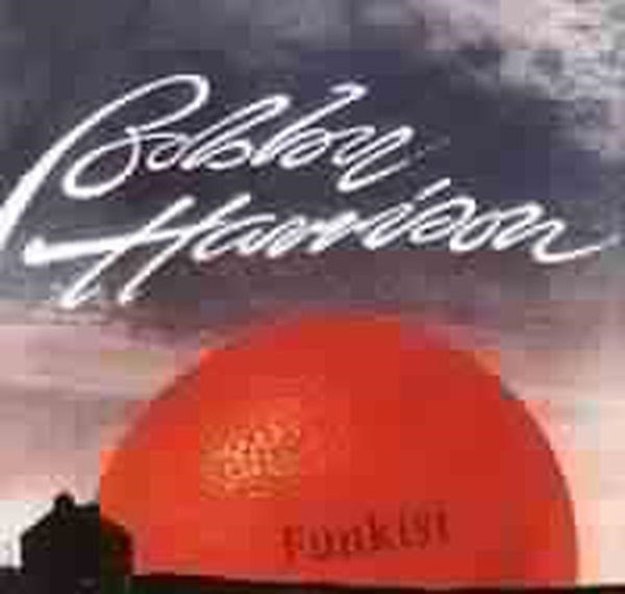 Bobby Harrison - Funkist