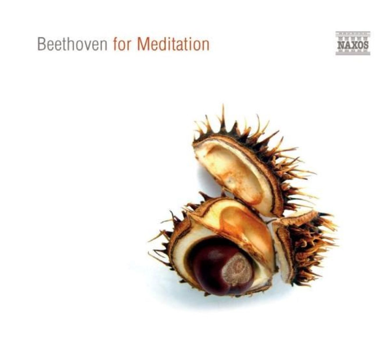 Afbeelding van Various Artists - Beethoven For Meditation