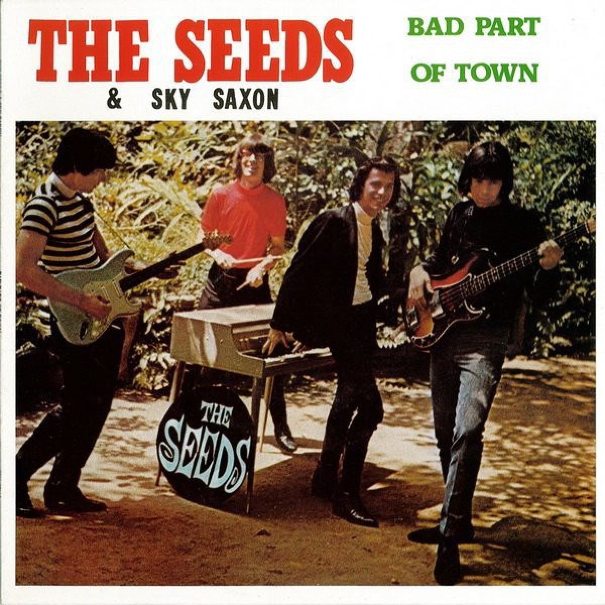 Afbeelding van Seeds & Sky Saxon - Bad Part Of Town