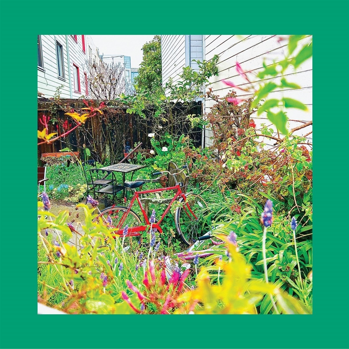Afbeelding van The Reds, Pinks & Purples - Unwishing Well