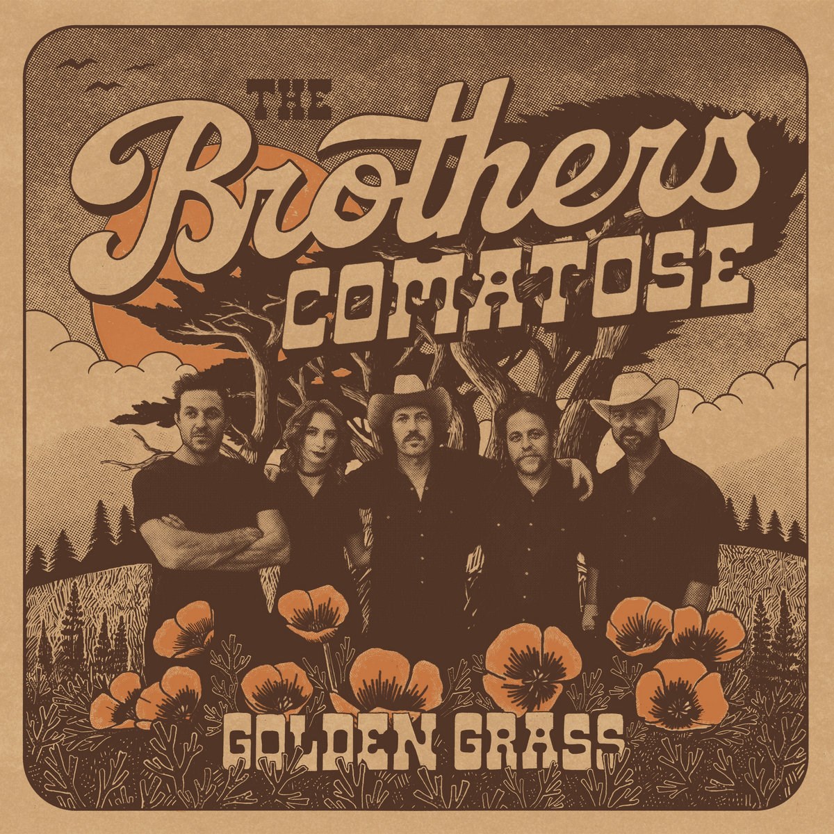 Brothers Comatose - Golden Grass