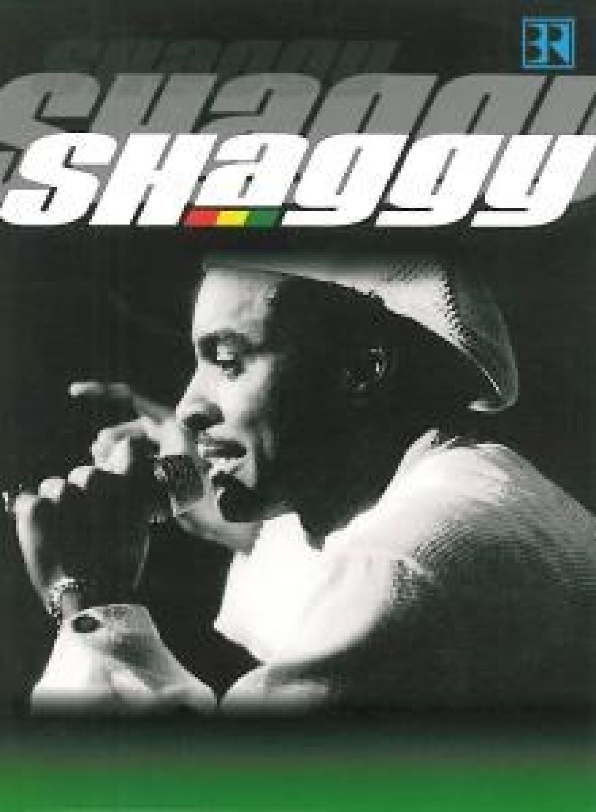 Shaggy - live