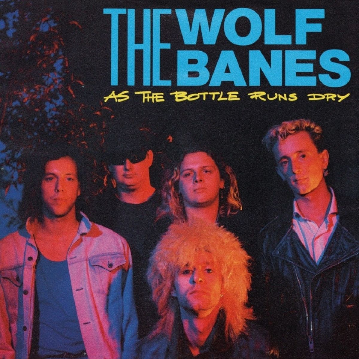 Afbeelding van The Wolf Banes - As The Bottle Runs Dry