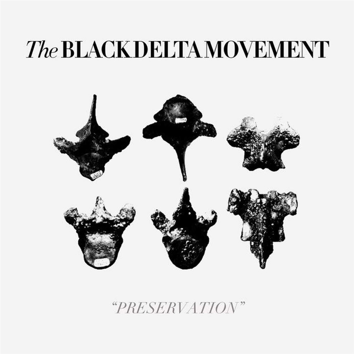 Afbeelding van Black Delta Movement - Preservation