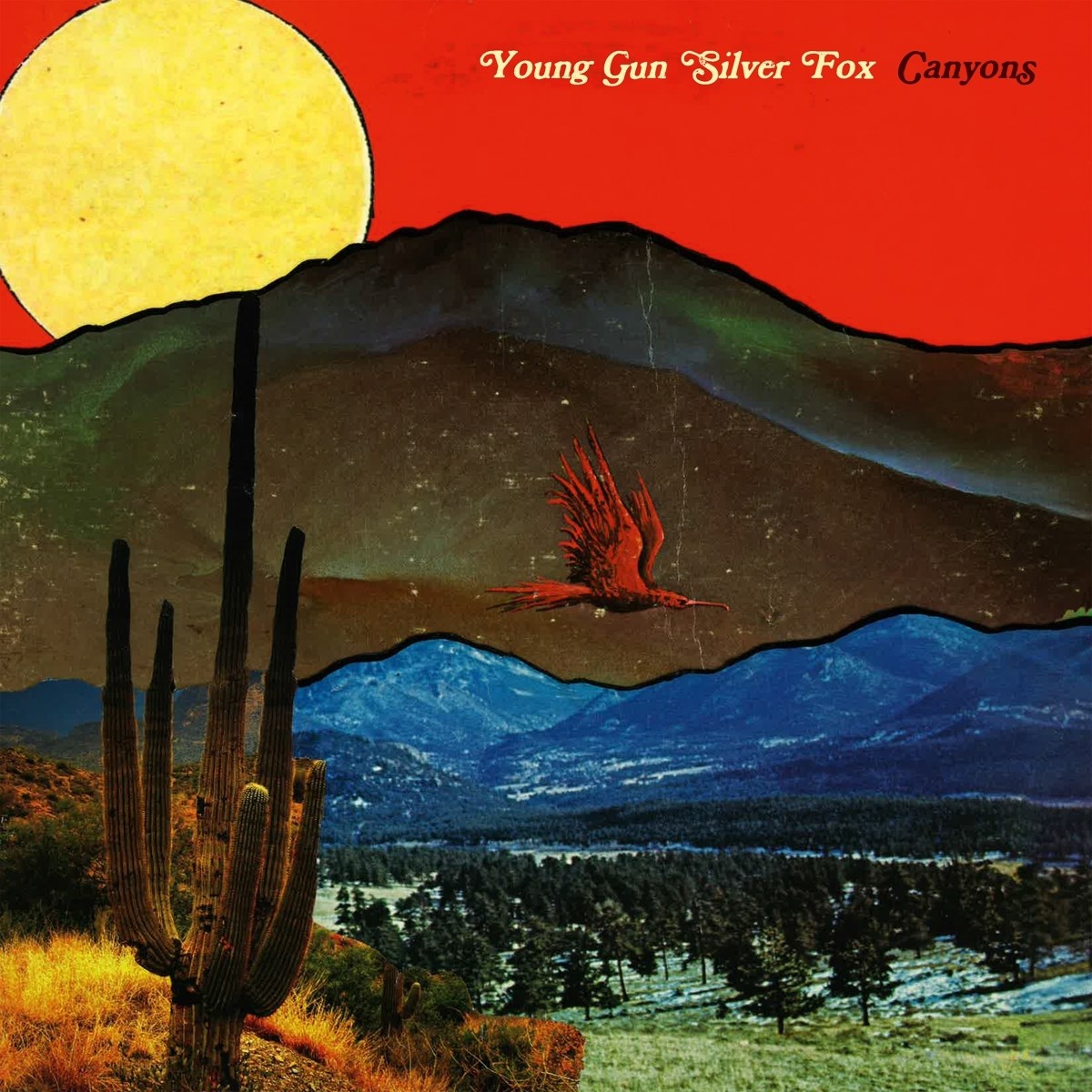 Afbeelding van Young Gun Silver Fox - Canyons
