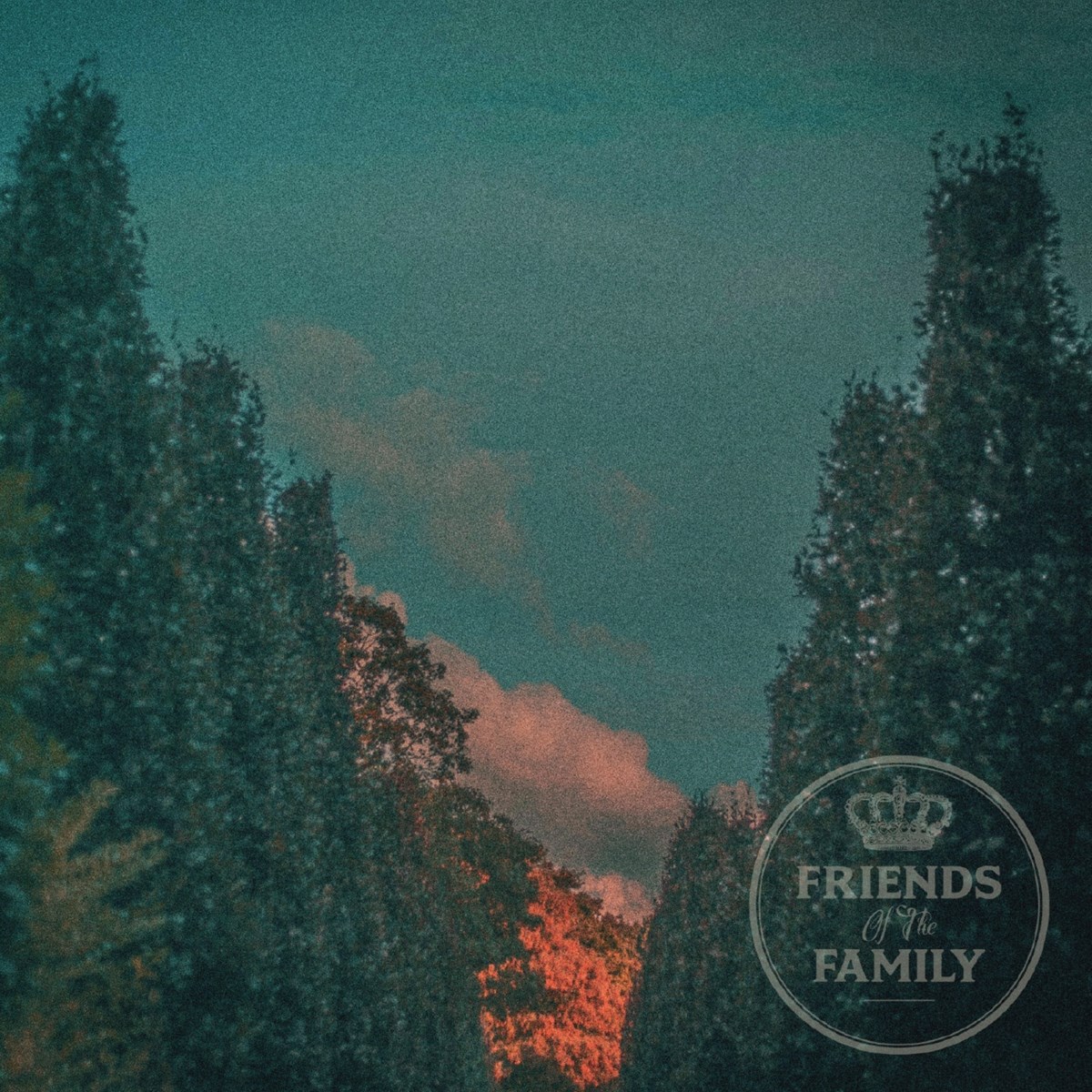 Afbeelding van Friends Of The Family