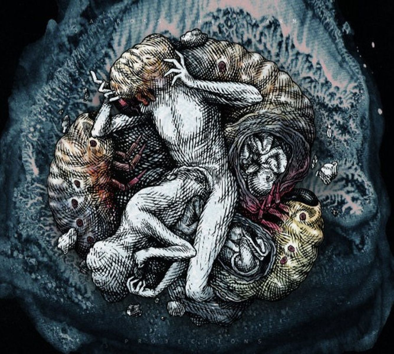 Across The Swarm - Projections
